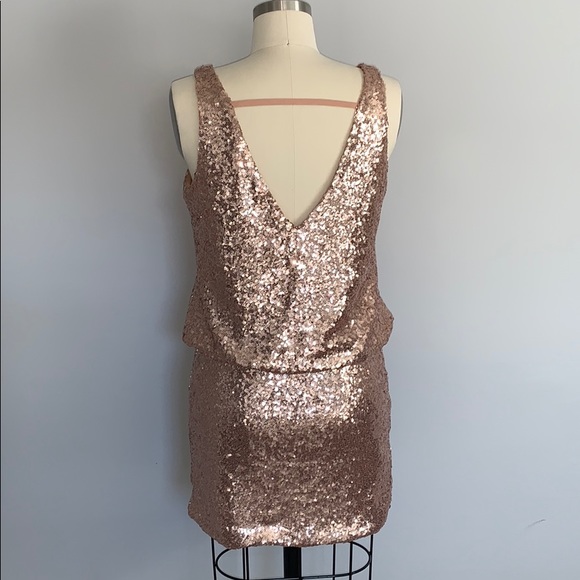 NWT!!! Esley Glam Dress! (Rose Gold) - Picture 3 of 5